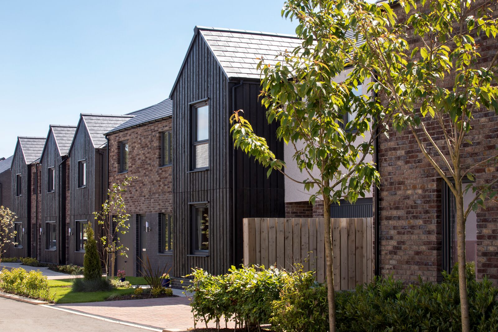 Stewart Milne scoops national award for Stonehaven homes Scottish
